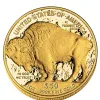 1 Oz Gold American Buffalo Coin (Random Year) - Image 2